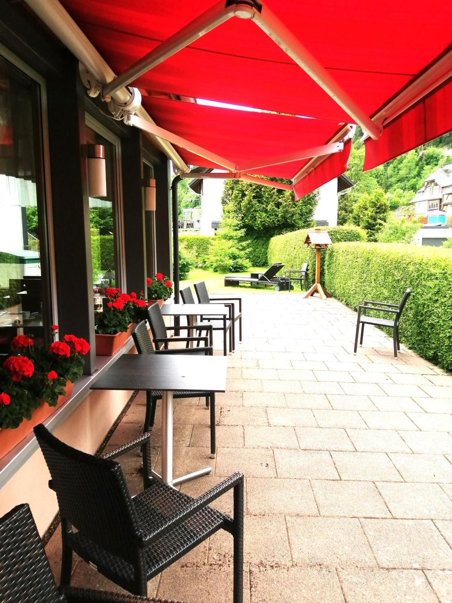 Hotel Am Kurpark Todtmoos Extérieur photo